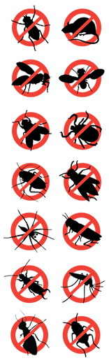 Als Pest Control Aurora Bolingbrook Illinois / Als Pest Control Bolingbrook Aurora Illinois